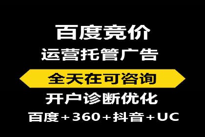 实战经验：竞价推广公司成功案例解析